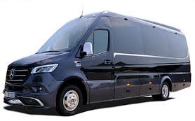 images 1 e1745266694824